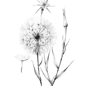 Meet your Posher, Autumn